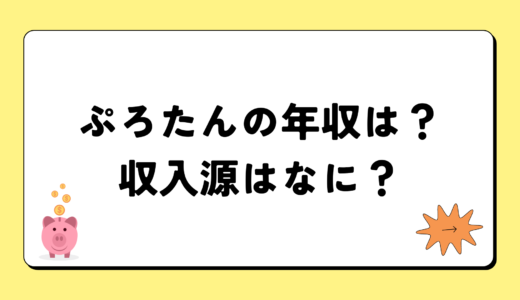 ぷろたんの2024年の年収は6千5百万円？収入源は2つ！税金についても