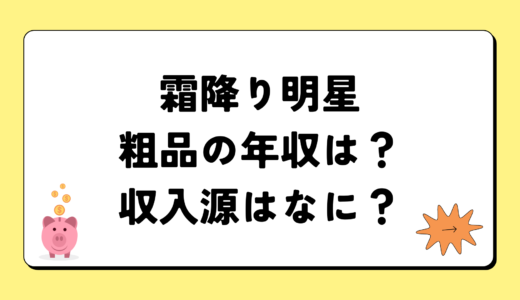 霜降り明星粗品の2024年の年収は2億5千万円？収入源は3つ！税金についても