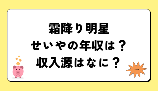 【2024最新】霜降り明星せいやの年収が凄すぎ！収入源は3つ！税金額はいくら？