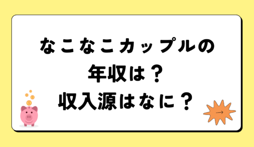 【2024最新】なこなこカップルの年収は？内訳や収入源は？税金についても