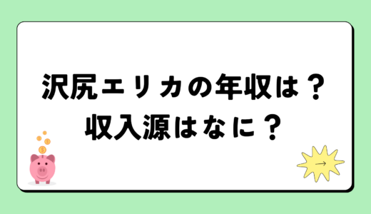 【2024最新】沢尻エリカの年収は？内訳や収入源は？税金についても