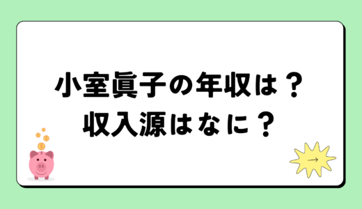 小室眞子の2024年の年収はいくら？内訳や収入源まとめ！税金についても