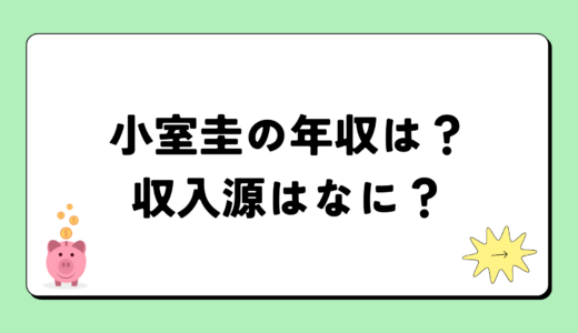 【2024最新】小室圭の年収が凄すぎ！収入源は1つ！税金額はいくら？